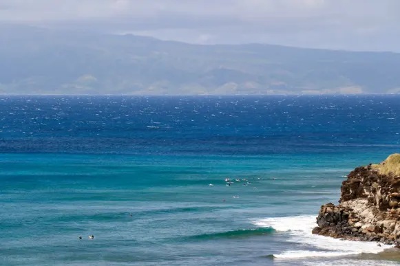 Casombie Casino Kundeservice